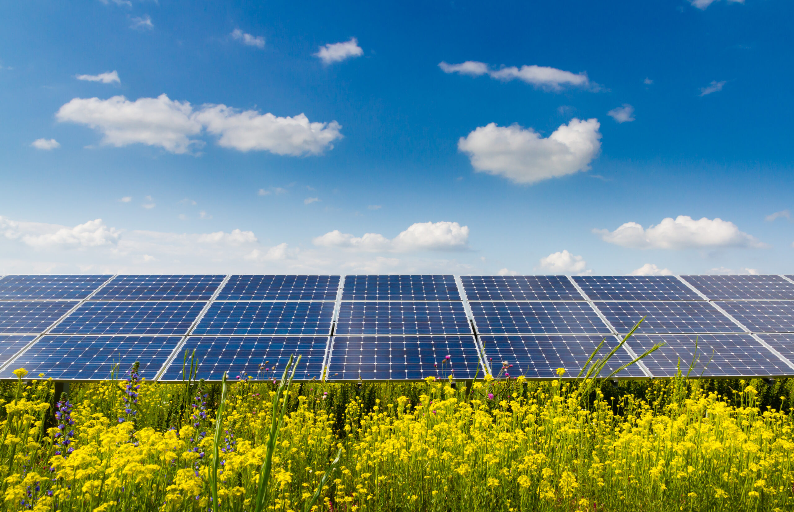 Group of solar panels in a field of yellow flowers on a bright sunny day, blue sky with some clouds. Les rendements futurs : Comment investir dans les infrastructures mondiales